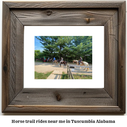 horse trail rides near me in Tuscumbia, Alabama